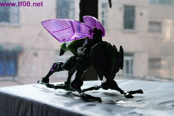 Animated Samurai Prowl Waspinator  (18 of 21)